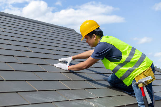 Best Metal Roofing Contractor  in Leonard, TX