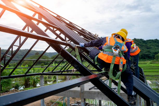 Best Roof Restoration Services  in Leonard, TX