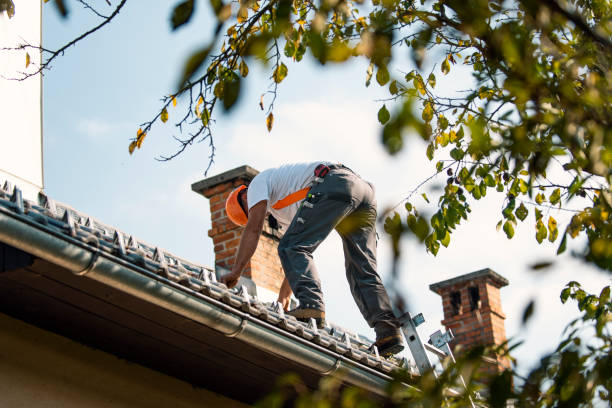 Best Local Roofing Companies  in Leonard, TX