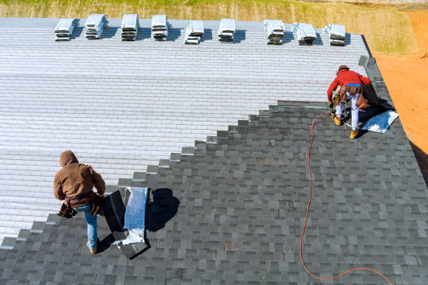 Best Roof Gutter Cleaning  in Leonard, TX