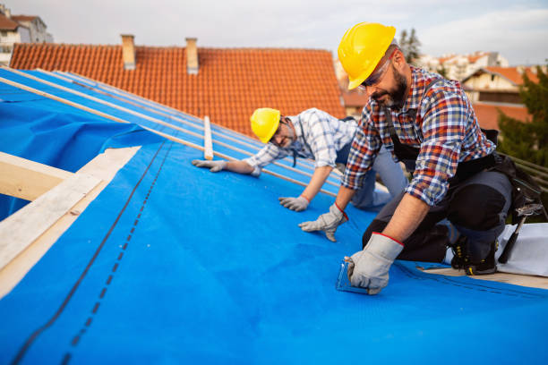 Quick and Trustworthy Emergency Roof Repair Services in Leonard, TX