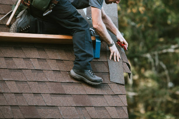 Best Roof Maintenance Services  in Leonard, TX